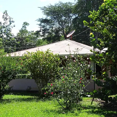 Cabinas Los Tucanes Cahuita Exterior photo