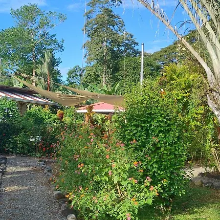 Cabinas Los Tucanes Cahuita Exterior photo