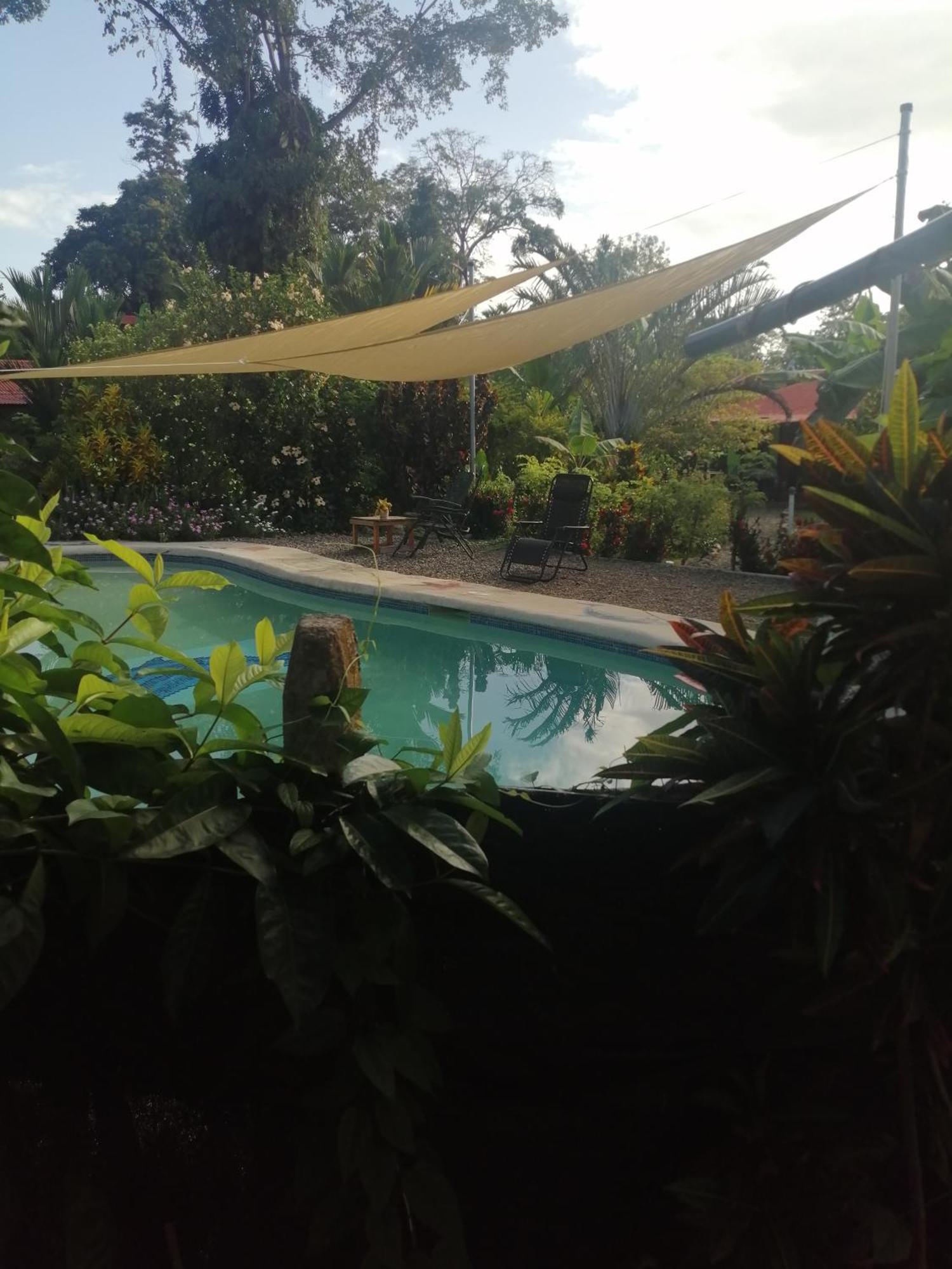 Cabinas Tucanes Lodge Cahuita
