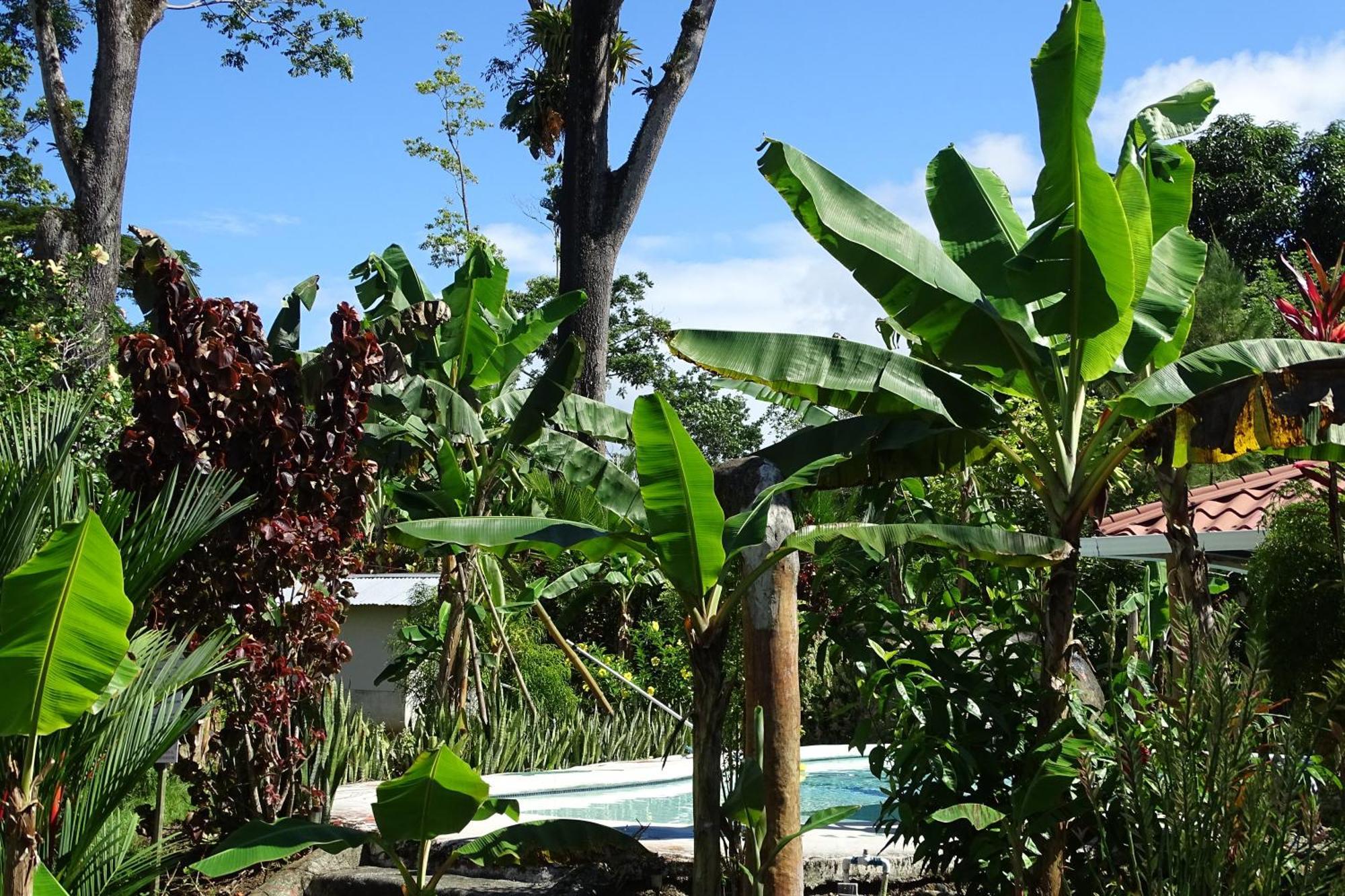 Cabinas Tucanes Lodge *
