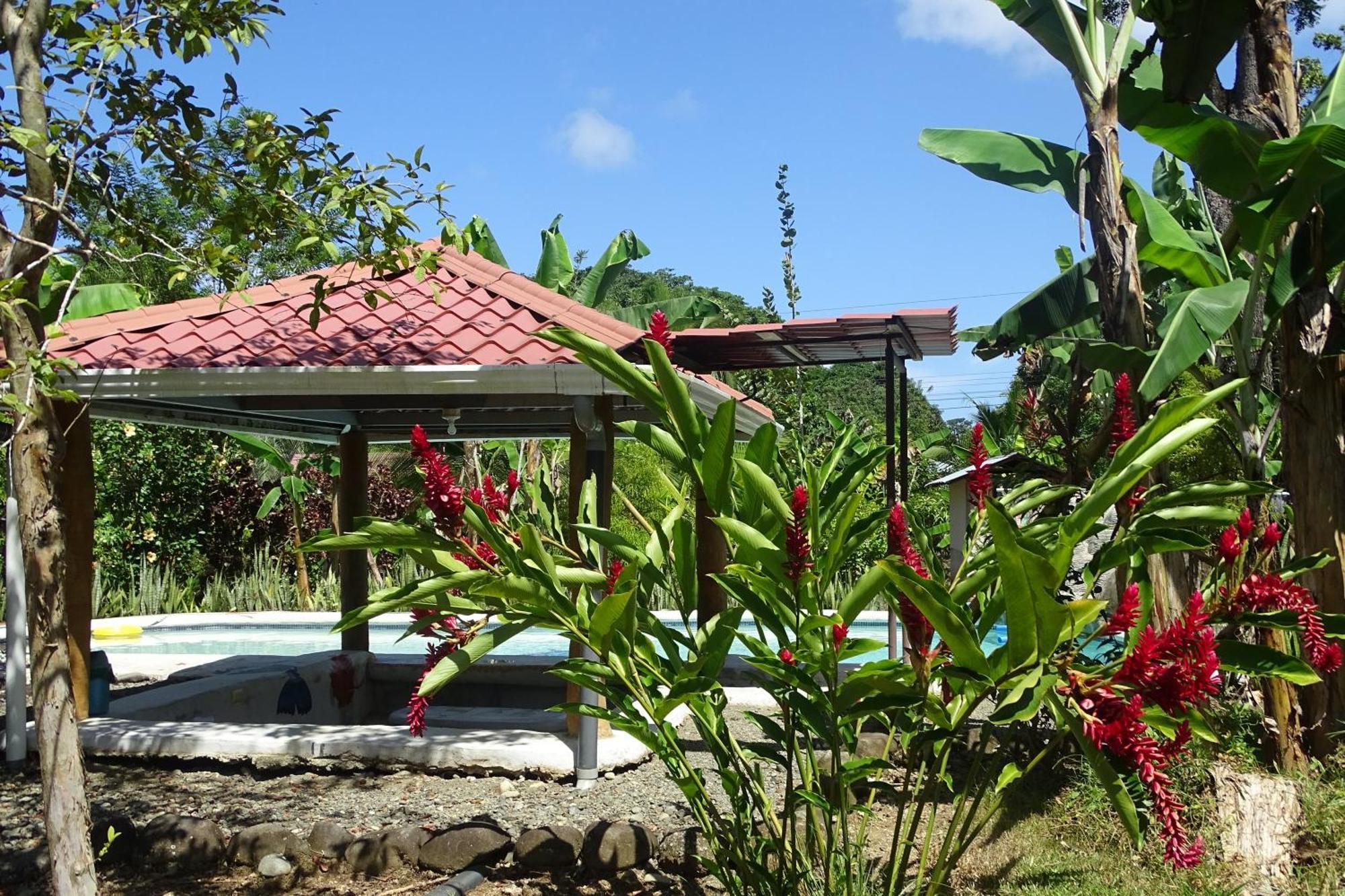 Cabinas Tucanes Cahuita