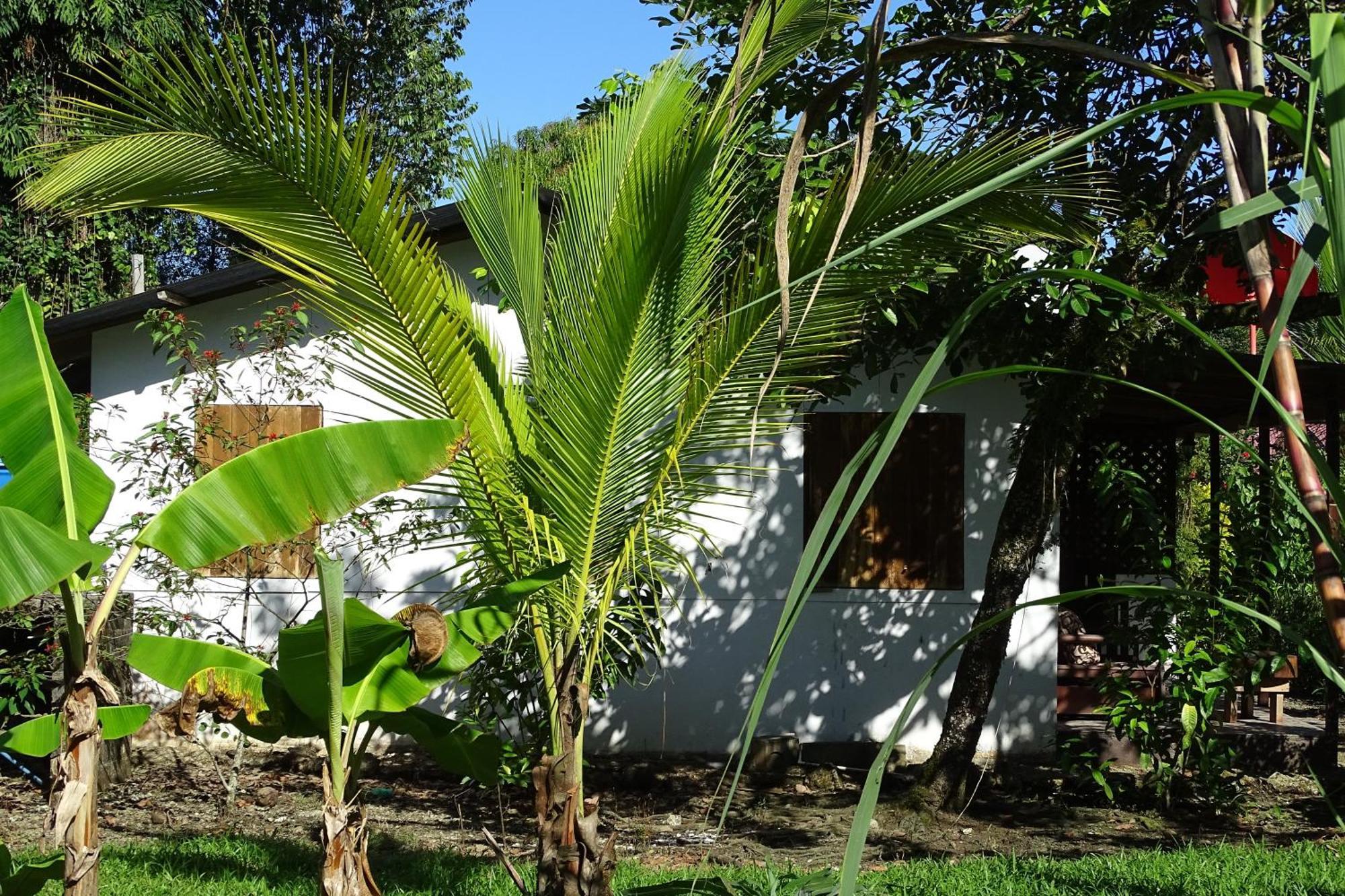 Cabinas Tucanes * Cahuita