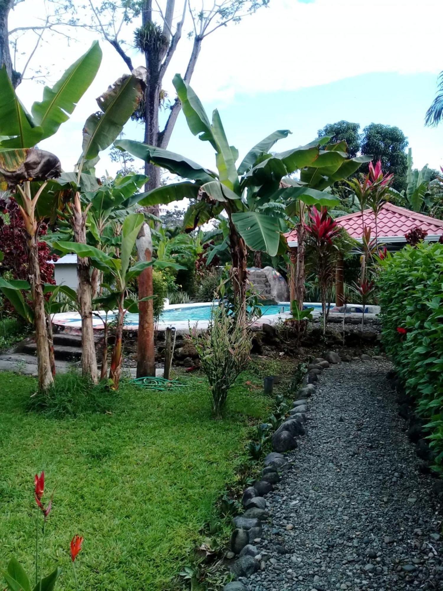 Cabinas Tucanes Cahuita